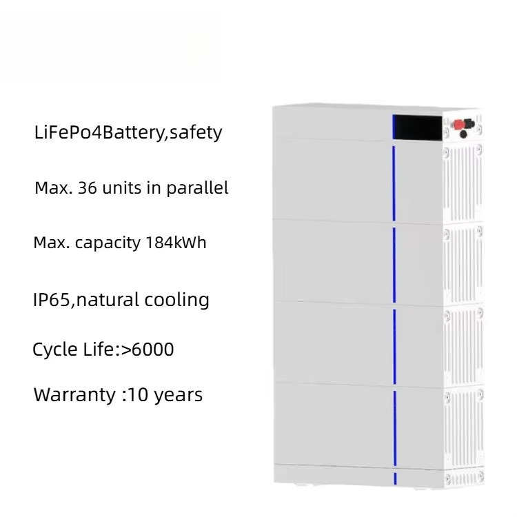 High Quality 48V 51.2V ESS Sta - Lifepo4 Battery Pack 评论和价格