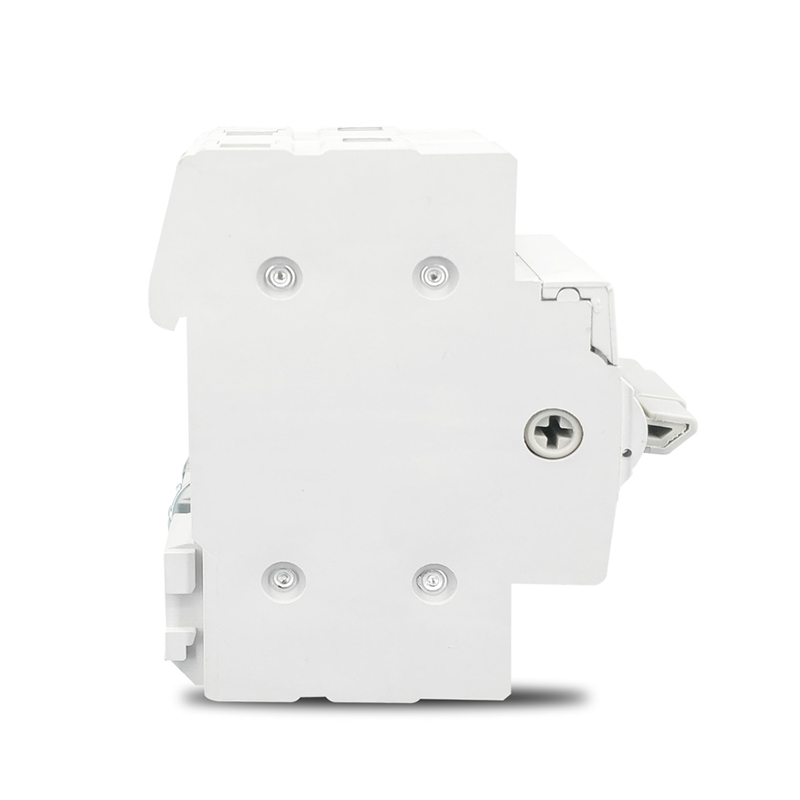 2P 63A Dual Power Manual Trans - Din Rail Circuit Breaker 评论和价格